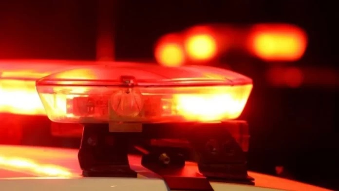 Homem preso por furto de pássaros é detido em Lages