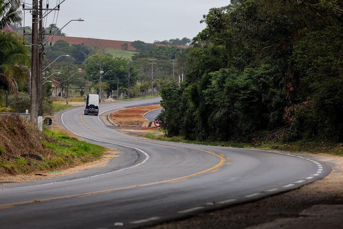 O que é a faixa de domínio e por que ela é essencial para a segurança nas rodovias